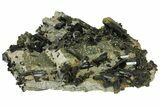 Lustrous, Epidote Crystal Cluster on Actinolite - Pakistan #164848-2